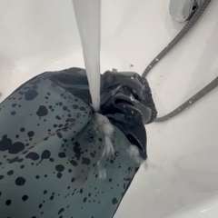 Видео отзыва 11183291