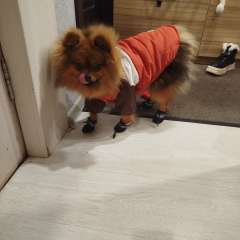 Фото отзыва 10994478