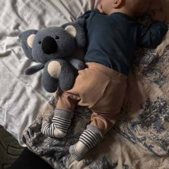 Мягкая игрушка Gulliver коала: отзыв пользователя Детский Мир
