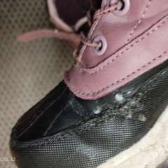 Фото отзыва 8833517