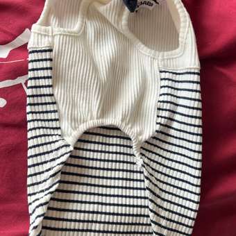 Футболка для собак и кошек Зоозавр Морячок: отзыв пользователя. Зоомагазин Зоозавр