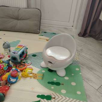 Горшок LaLa-Kids стульчик серый: отзыв пользователя Детский Мир