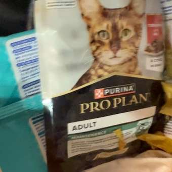 Корм для кошек PRO PLAN 85г говядина в соусе пауч: отзыв пользователя. Зоомагазин Зоозавр