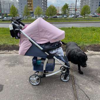 Коляска прогулочная Babyton Cosmo Pink розовый: отзыв пользователя Детский Мир