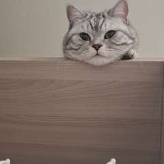 Фото отзыва 10695880