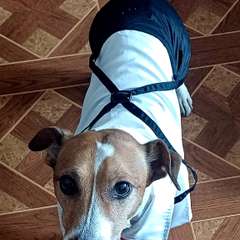 Фото отзыва 11171440