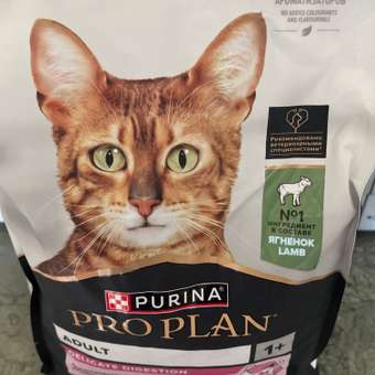 Корм сухой для кошек PRO PLAN DELICATE DIGESTION 1.5 кг с ягненком: отзыв пользователя. Зоомагазин Зоозавр