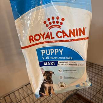 Корм для щенков ROYAL CANIN Maxi Puppy 3кг: отзыв пользователя. Зоомагазин Зоозавр