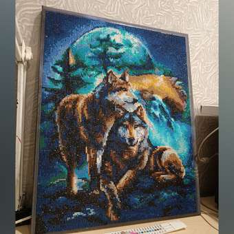Алмазная мозаика Art on Canvas Лунная ночь в ассортименте: отзыв пользователя Детский Мир