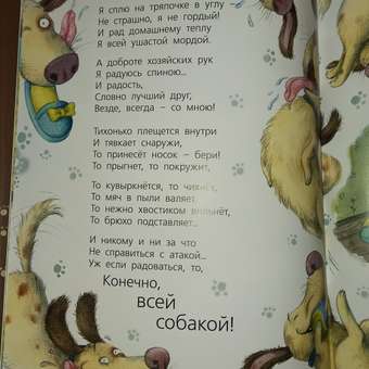 Книга ЭНАС-КНИГА Жизнь собачья. Книги для детей: отзыв пользователя Детский Мир