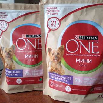 Корм для собак Purina One Mini чувствительное пищеварение лосось-рис 600г: отзыв пользователя. Зоомагазин Зоозавр
