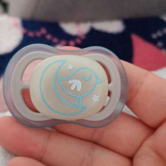 Пустышка Philips Avent силикон от 6 мес. 2 шт.: отзыв пользователя ДетМир