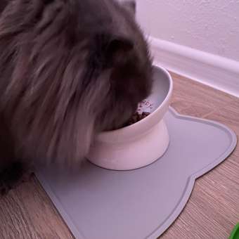 Корм для кошек ROYAL CANIN Urinary Care для поддержания здоровья мочевыделительной системы 85г: отзыв пользователя. Зоомагазин Зоозавр