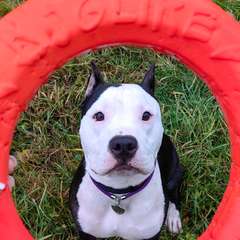 Фото отзыва 10587845