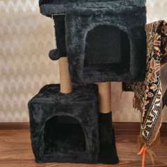 Фото отзыва 11296762