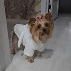 Фото отзыва 10694639