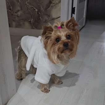 Халат для собак Зоозавр: отзыв пользователя. Зоомагазин Зоозавр