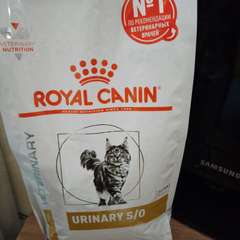 Фото отзыва 10824169