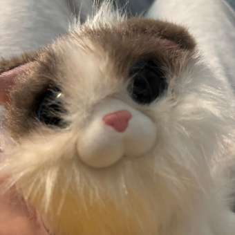 Мягкая игрушка Zuru Pets Alive Smitten Kittens в ассортименте: отзыв пользователя ДетМир