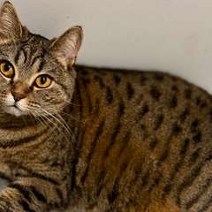 Фото отзыва 10968070