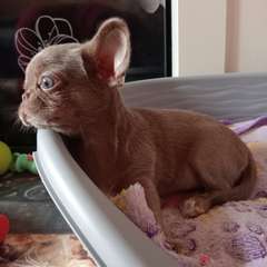 Фото отзыва 10718351