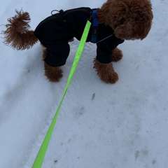 Фото отзыва 10658548