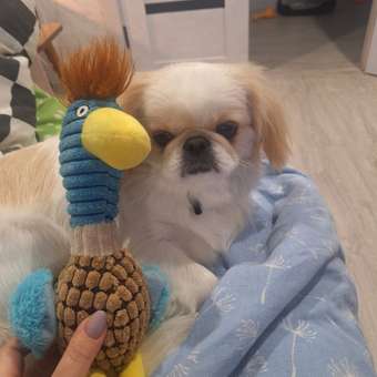 Игрушка для собак Homepet Утка дикая с пищалкой плюшевая 24*35см: отзыв пользователя. Зоомагазин Зоозавр