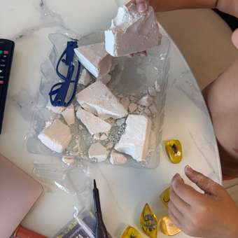 Набор для раскопок SHARKTOYS Насекомые в янтаре: отзыв пользователя Детский Мир