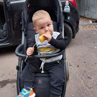 Коляска прогулочная BabyCare Venga черный черный: отзыв пользователя Детский Мир