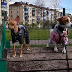 Фото отзыва 10697979