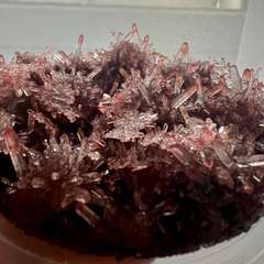 Фото отзыва 10528485