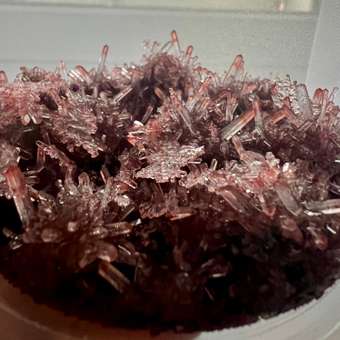 Набор для опытов Attivio Драгоценный кристалл большой: отзыв пользователя Детский Мир