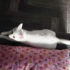 Фото отзыва 10315853