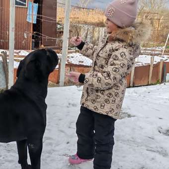 Куртка и полукомбинезон CASTLELADY: отзыв пользователя Детский Мир
