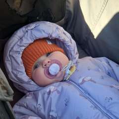 Фото отзыва 10542025