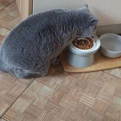 Фото отзыва 10762745