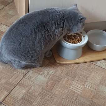 Корм для кошек ROYAL CANIN Neutered Satiety Balance стерилизованных 8кг: отзыв пользователя. Зоомагазин Зоозавр