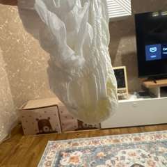 Фото отзыва 11203435