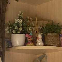 Фото отзыва 11154648