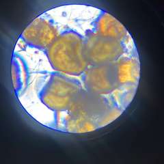 Фото отзыва 11307979