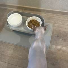 Фото отзыва 10794340