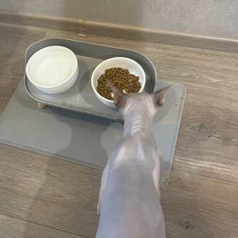 Корм сухой для кошек PRO PLAN 200г с кроликом стерилизованных: отзыв пользователя. Зоомагазин Зоозавр