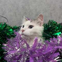 Фото отзыва 10754817