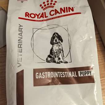 Корм для щенков ROYAL CANIN Gastro Intestinal Junior GIJ29 при нарушениях пищеварения 1кг: отзыв пользователя. Зоомагазин Зоозавр