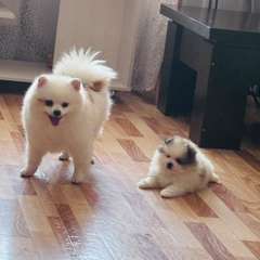 Фото отзыва 10347877