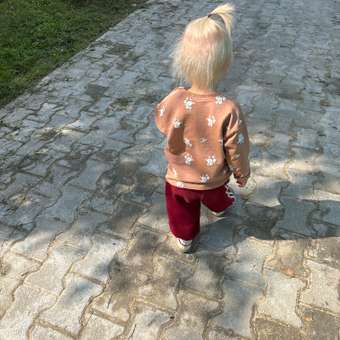 Лонгслив BabyGo: отзыв пользователя Детский Мир