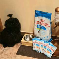 Фото отзыва 10523876