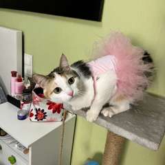 Фото отзыва 10974026