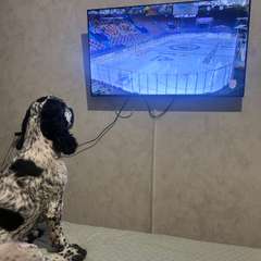 Фото отзыва 10718528