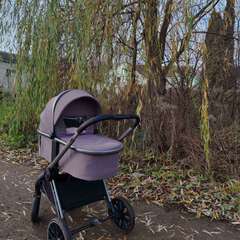 Фото отзыва 10685314